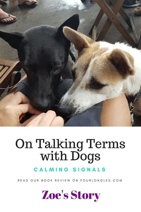 On Talking Terms With Dogs Calming Signals Book Review Four Long
