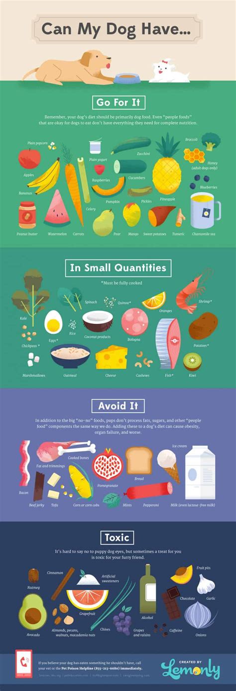 Surprisingly Toxic Foods Dogs Cant Have Daily Infographic