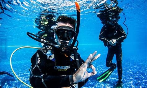 How Much Does It Cost To Become A Padi Dive Instructor Infolearners