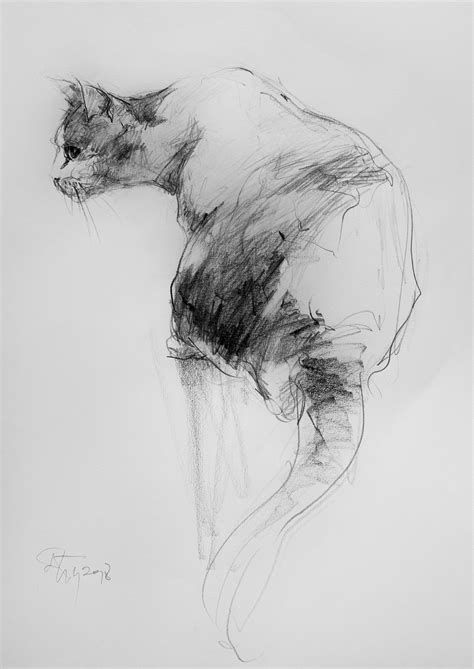 Animal Sketches Animal Drawings Cool Drawings Art Sketches Charcoal