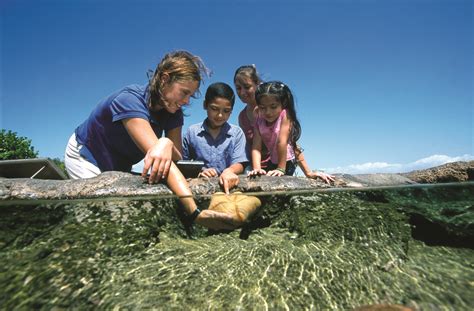 The Best Of Hawaii For Kids