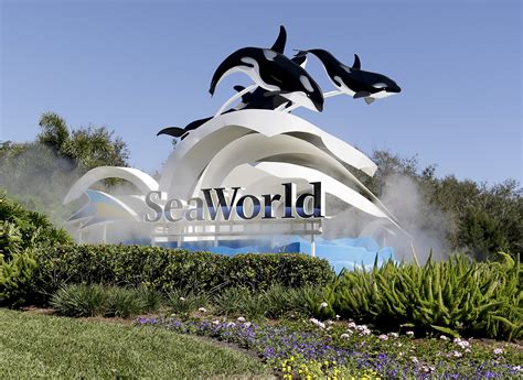 Seaworld Parks And Enternment Busch Gardens Tutorial Pics