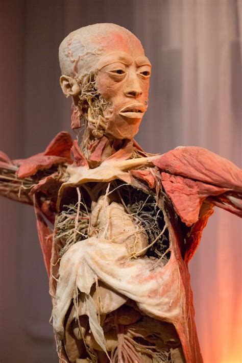 Review Real Bodies Exhibition