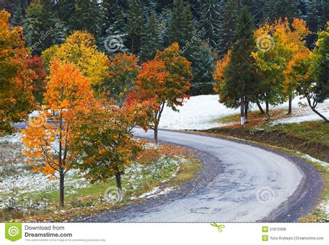 First Winter Snow And Autumn Trees Near Road Royalty Free