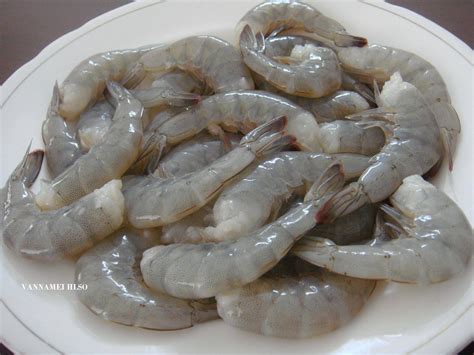 Frozen Vannamei Shrimps Asian Seafood Corporation