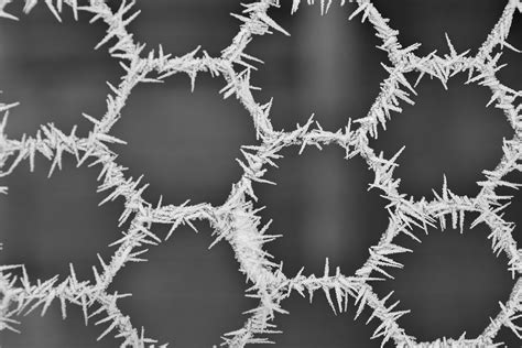 Free Picture Cold Detail Frozen Ice Crystal Pattern Shape Wire