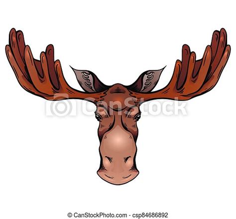 Moose Antler Drawing