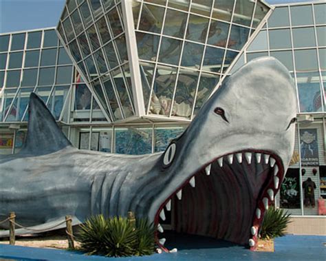 Choose your favorite south carolina state house designs and purchase them as wall art, home decor, phone cases, tote bags, and more! Myrtle Beach Shopping - Shopping Outlets in Myrtle Beach