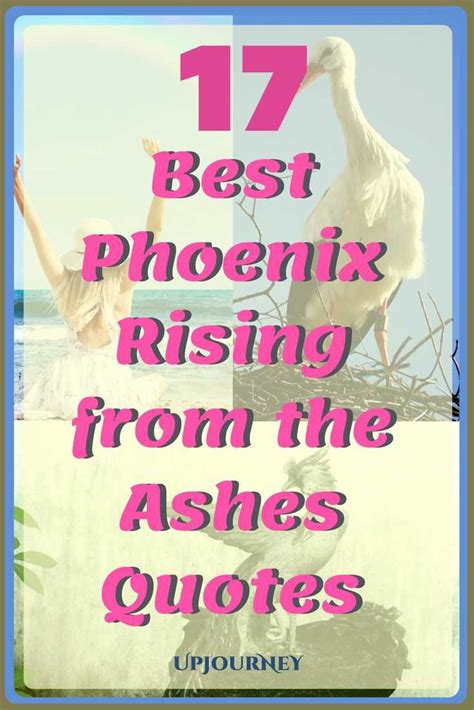 My story of being métis, homeless, and finding my way: 17 BEST Phoenix Rising from the Ashes Quotes | Rise quotes, Phoenix quotes, Phoenix rising