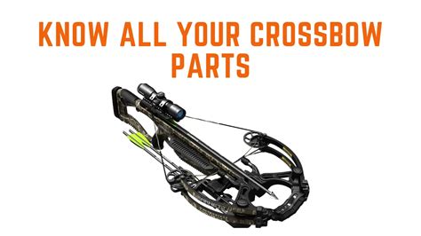 Parts Of A Crossbow Explained In Detail Hunting Maestro
