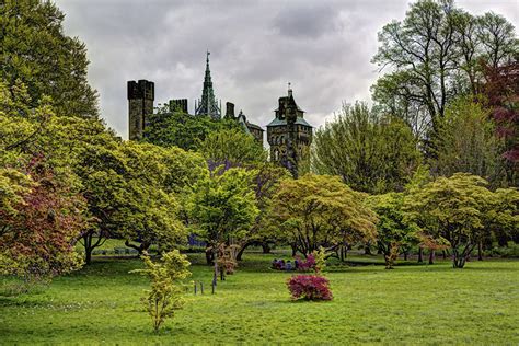 Pictures United Kingdom Bute Park Cardiff Nature Parks Grass Trees