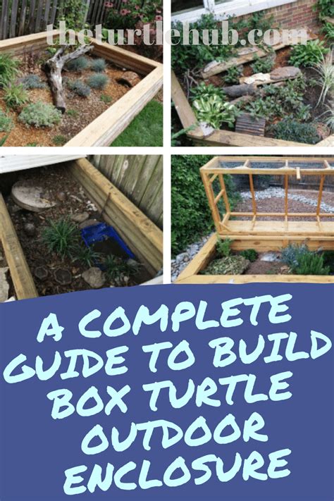 A Complete Guide To Build Box Turtle Outdoor Enclosure Box Turtle