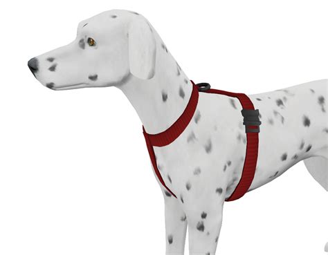 Sims 4 Cc Finds — Chippedcupanddustybooks Dog Harness Update I