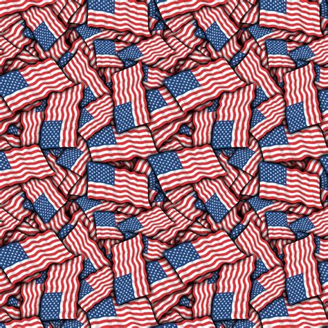 American Flag Pattern Crew