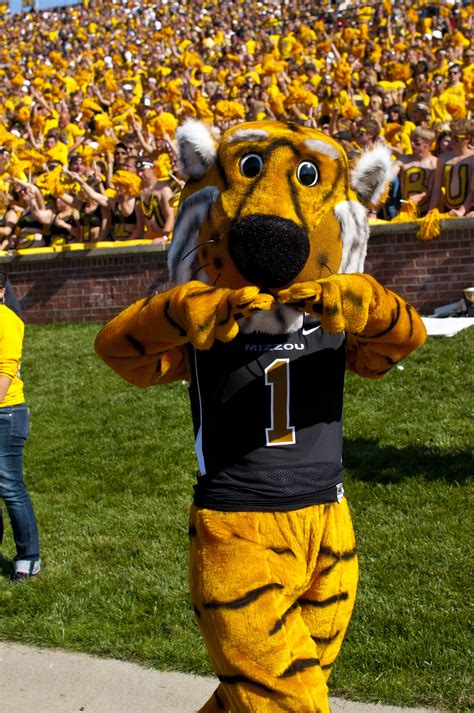 Pin By Madwild Spirit On College Mascots Sec Mizzou Tigers Mascot