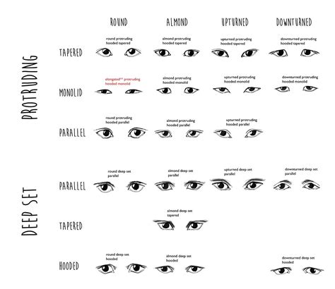 Eye Shapes Eye Shapes Drawing Eye Shape Chart Eye Shapes Chart