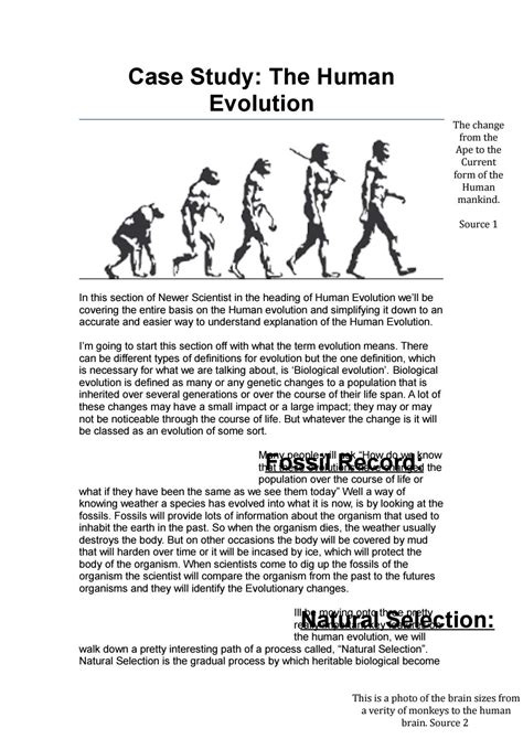 School Paper Human Evolution Essay