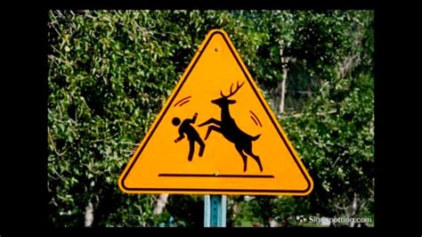 Part 2 Try Not To Laugh Funniest Road Signs Fails Youtube