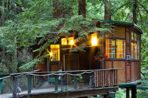 Redwood Treehouse Cabin Bizarre And Beautiful Airbnb Rentals That Won