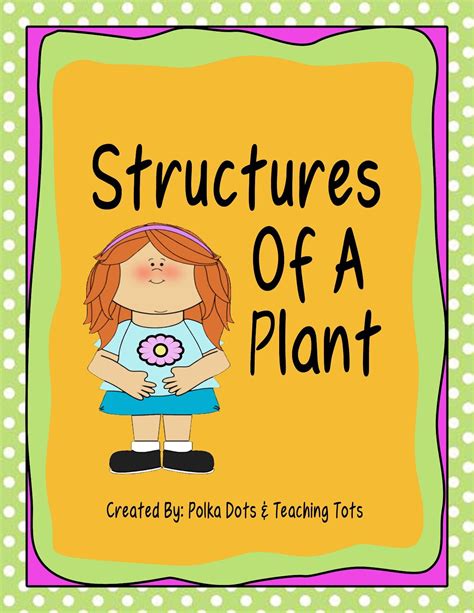 The Math Spot 50 Follower Giveaway And Structures Of A Plant Teaching