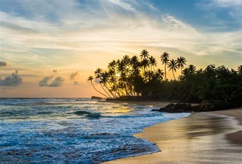 The 5 Best Beaches In Sri Lanka Clickstay