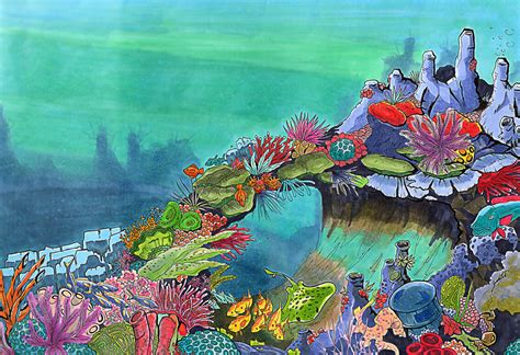Coral Reef Drawing With Color At Getdrawings Free Download