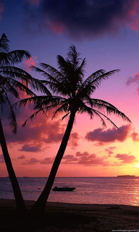 Tropical Beach Palm Trees Sunset Wallpapers Desktop Background