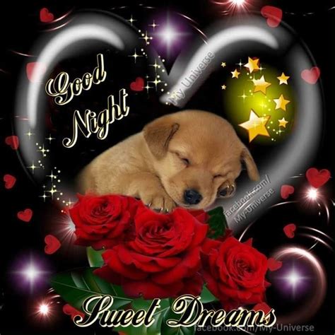 Good Night Cards Good Night Hug Good Night Thoughts Good Night My