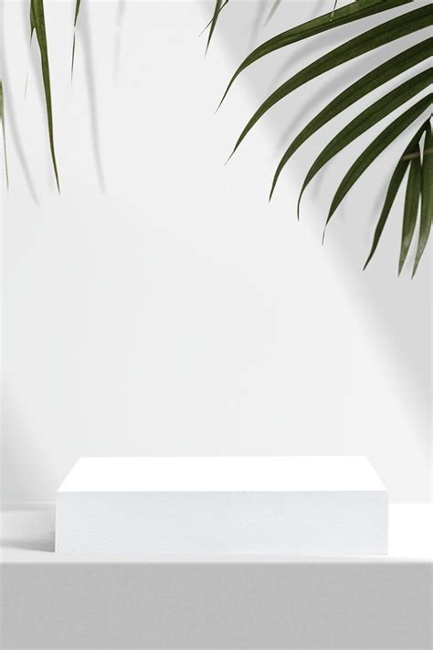 Download Free Image Of Aesthetic Product Backdrop Palm Leaves By Beam