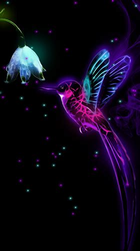Looking for the best neon animal wallpapers? Neon animals by Thalia Photo Art Studio live wallpaper for ...