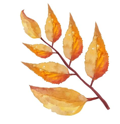 Premium Vector Dead Autumn Dry Tree Leaves Botanical Illustration