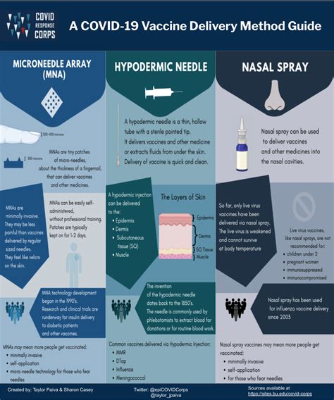 Infographic Summarizing Covid 19 Vaccine Delivery Methods