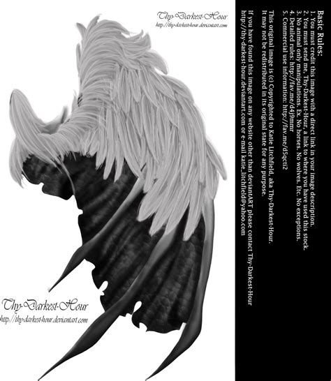 Feathered Demon Wings 01 By Thy Darkest Hour On Deviantart
