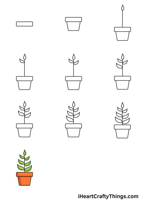 14 Easy Plant Drawing Kuwatlaithen