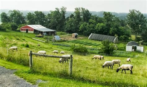 Homestead Hill Farm: 30 Days - the Backstory
