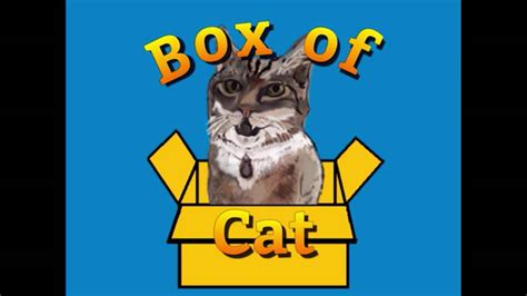 Kickstarter Nonstarters Box Of Cat Youtube