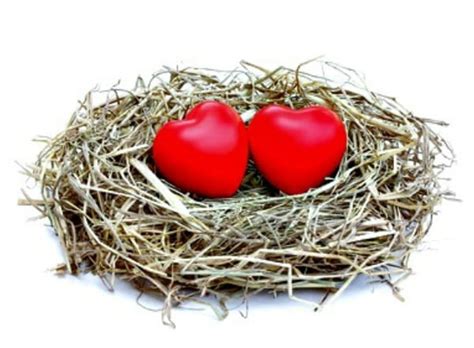 10 ways to get ready for the empty nest it s not too early to start