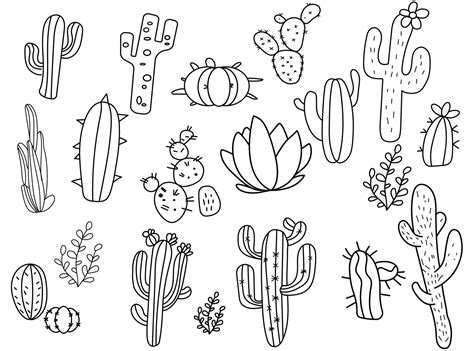Hand Drawn Outline Cactus Set 7795833 Vector Art At Vecteezy