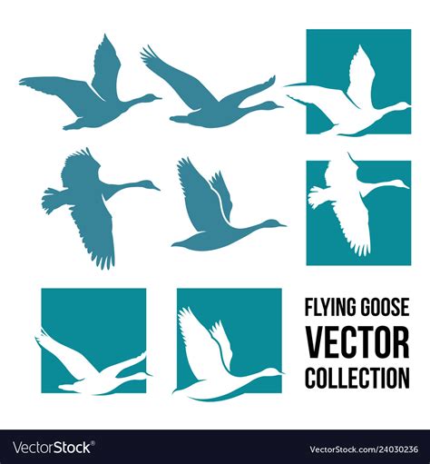 Flying Goose Royalty Free Vector Image Vectorstock