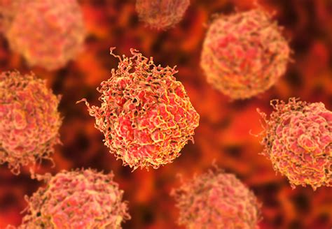 Using Next Generation Sequencing To Target Tumor Genomics