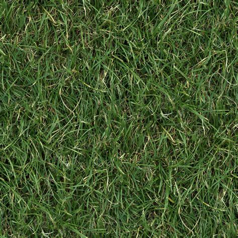 High Resolution Grass Texture Free Images On All3dfree