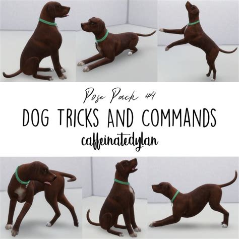 Dog Tricks And Commands Pose Pack Dog Hacks Sims 4 Poses