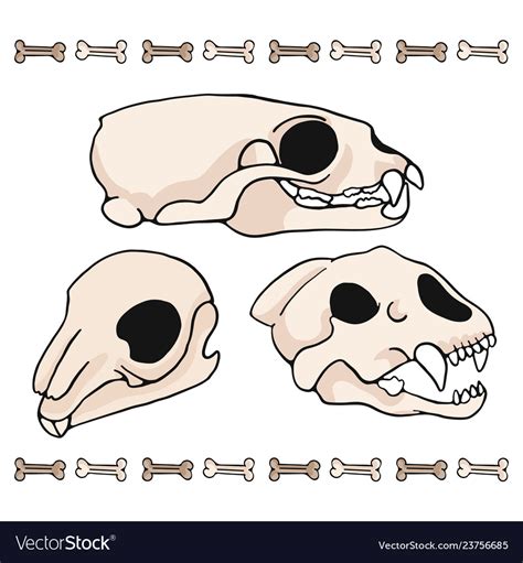 Mammal Skull Cartoon Motif Set Royalty Free Vector Image