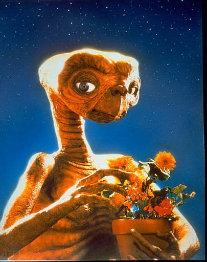 Own Et The Extra Terrestrial On Dvd Amzntogwa2s4 映画アート ヴィンテージ