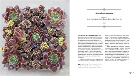 Rhs practical cactus & succulent book is the ultimate reference book for cactus and succulent enthusiasts. Succulents Simplified Book | Expertly Chosen Gifts