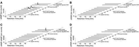 Absence Of Detectable Arsenate In Dna From Arsenate Grown Gfaj 1 Cells