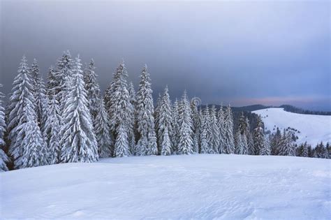 Meadow Covered With Snow In The Mountains In Winter Stock Photo