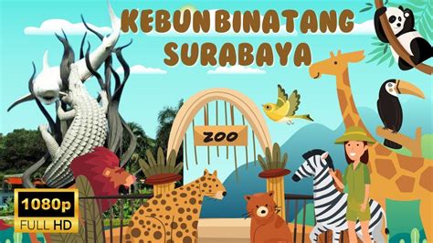Kebun Binatang Surabaya Zoo Study Tour Tk Tahfidz Ath Thohiriyah