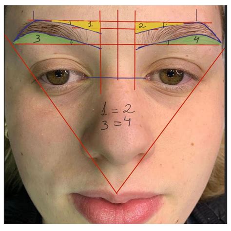 Eyebrow Mapping Diagram Golace