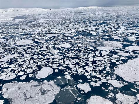 Nasa Data Shows Arctic Sea Ice 2019 Wintertime Extent Is Seventh Lowest